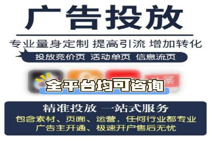 SEM服务案例：助力企业拓展海外市场